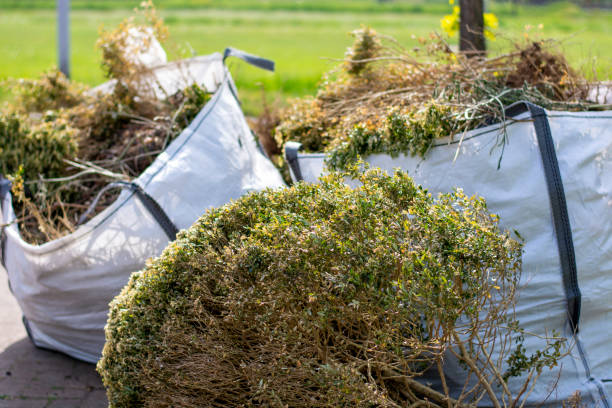 Best Household Junk Removal  in Sugar Grove, IL